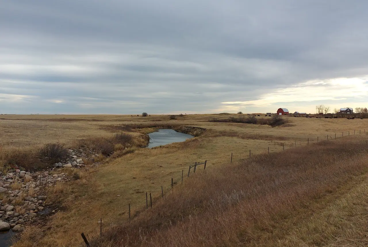 Roughbark Creek and prairie farmstead, 2022